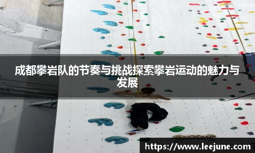 成都攀岩队的节奏与挑战探索攀岩运动的魅力与发展